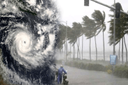 MP Weather