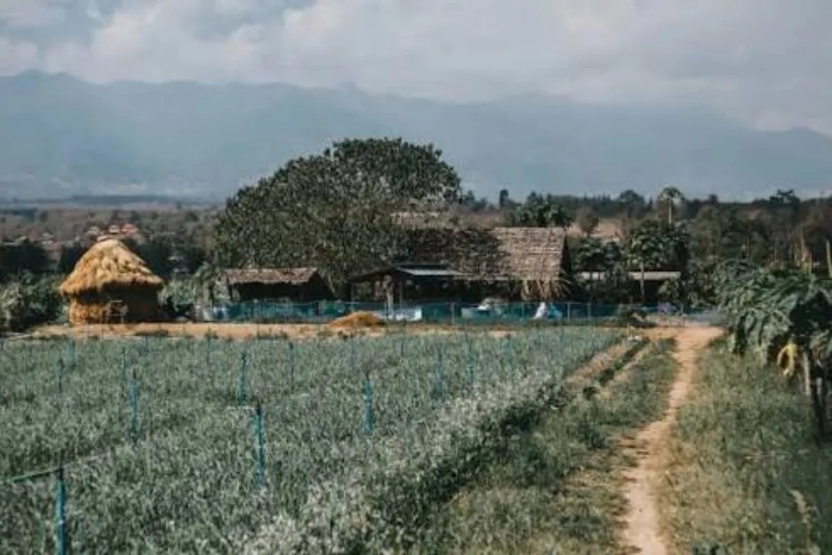Motipur village