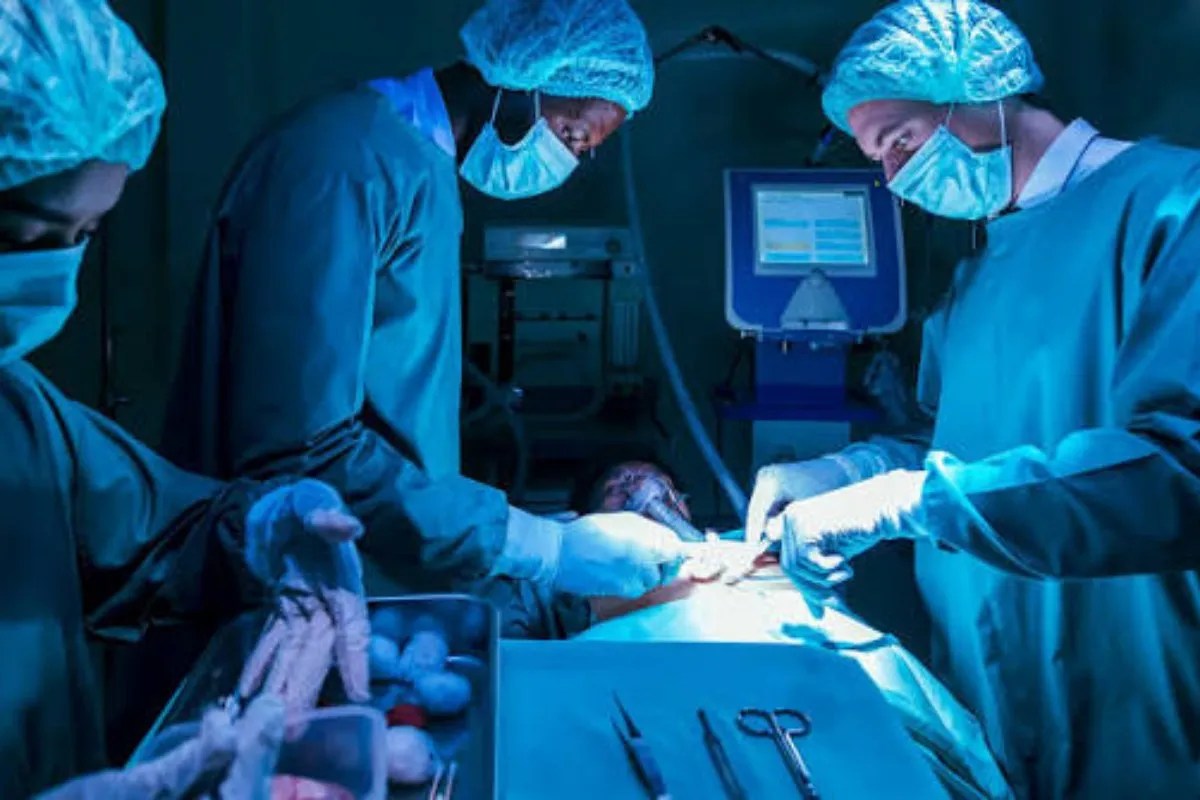 Organ transplant