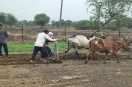 monsoon news