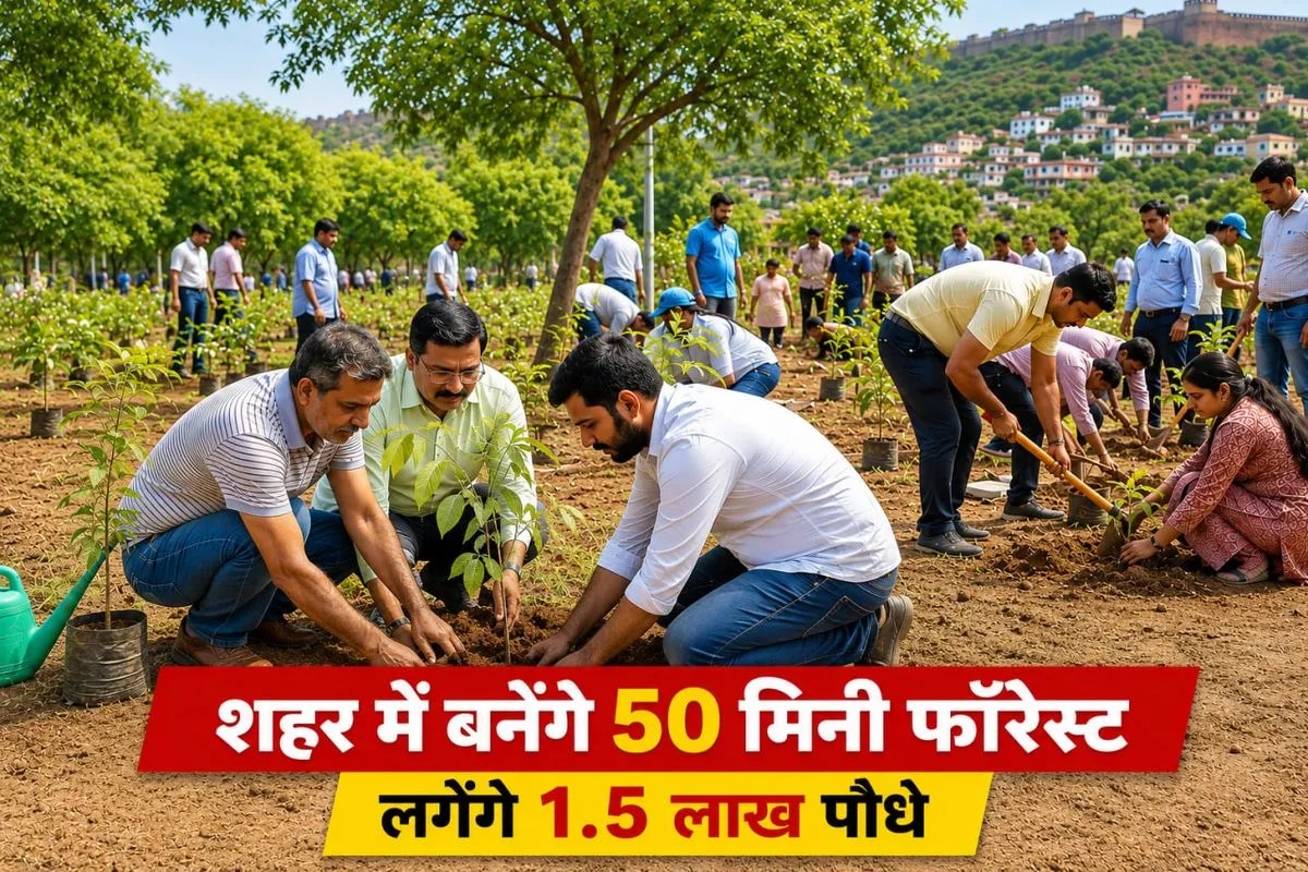 hariyalo alwar 50 mini forest