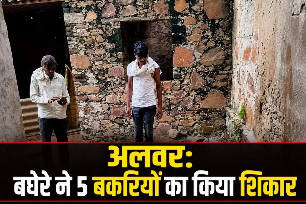 alwar leopard attack hamirpur