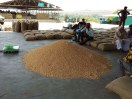 chhindwara