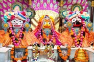 rathyatra in udaipur