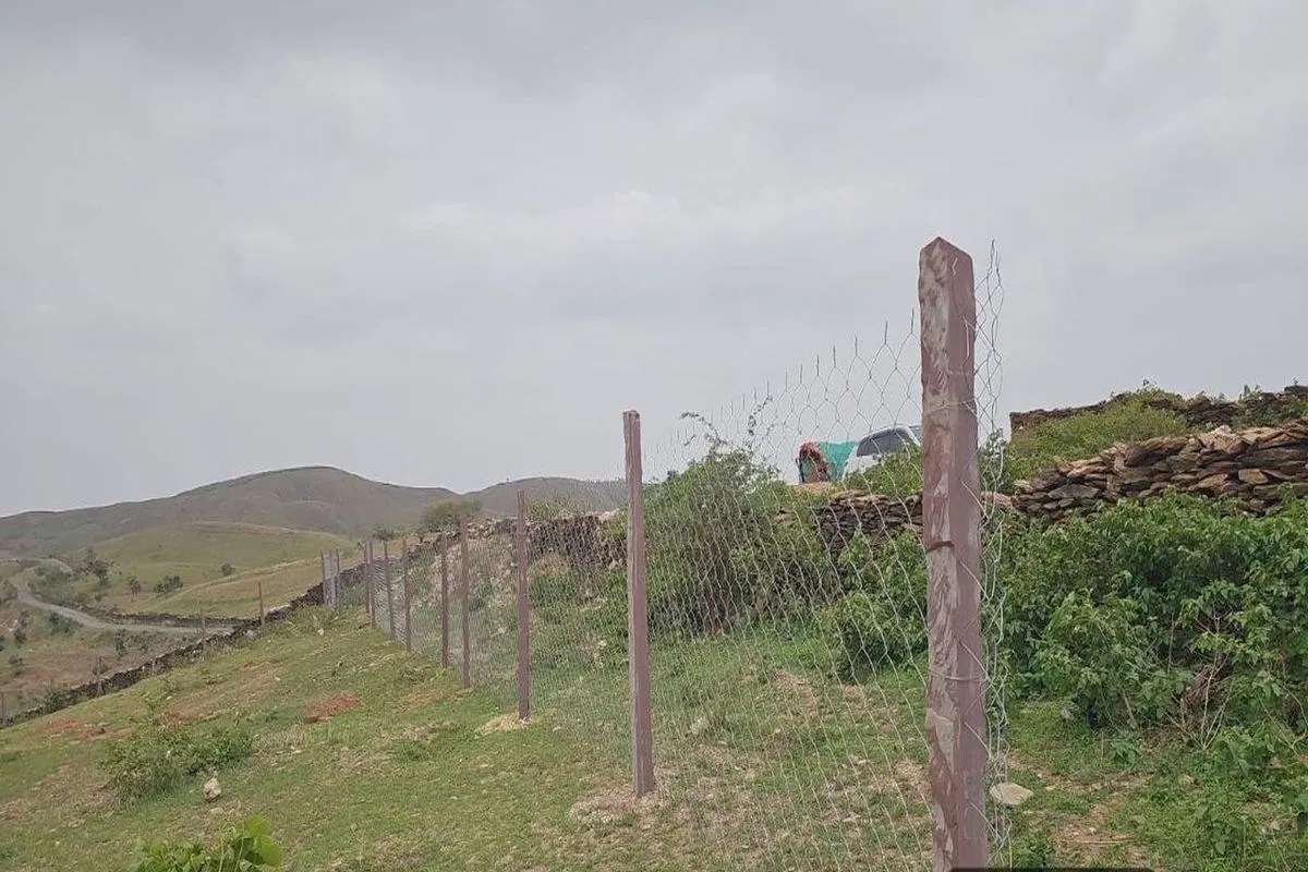 rayta hills udaipur