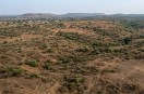 land
