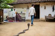 sagar