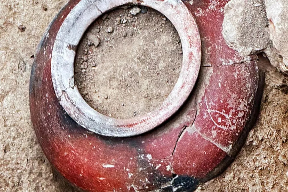 Terracotta pot