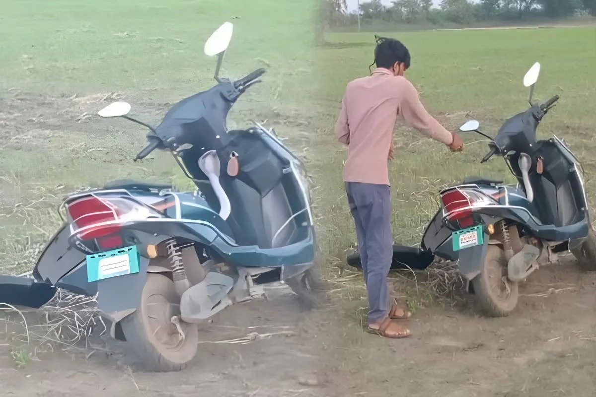 vidisha