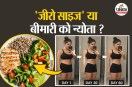 Crash Diets Meals Skipping Mental Stress Hypothalamus
