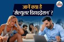 Cellular Dehydration Water loss Corporate Culture Water rich foods