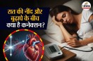 Healthy Heart Cardiovascular Health Longevity Habits