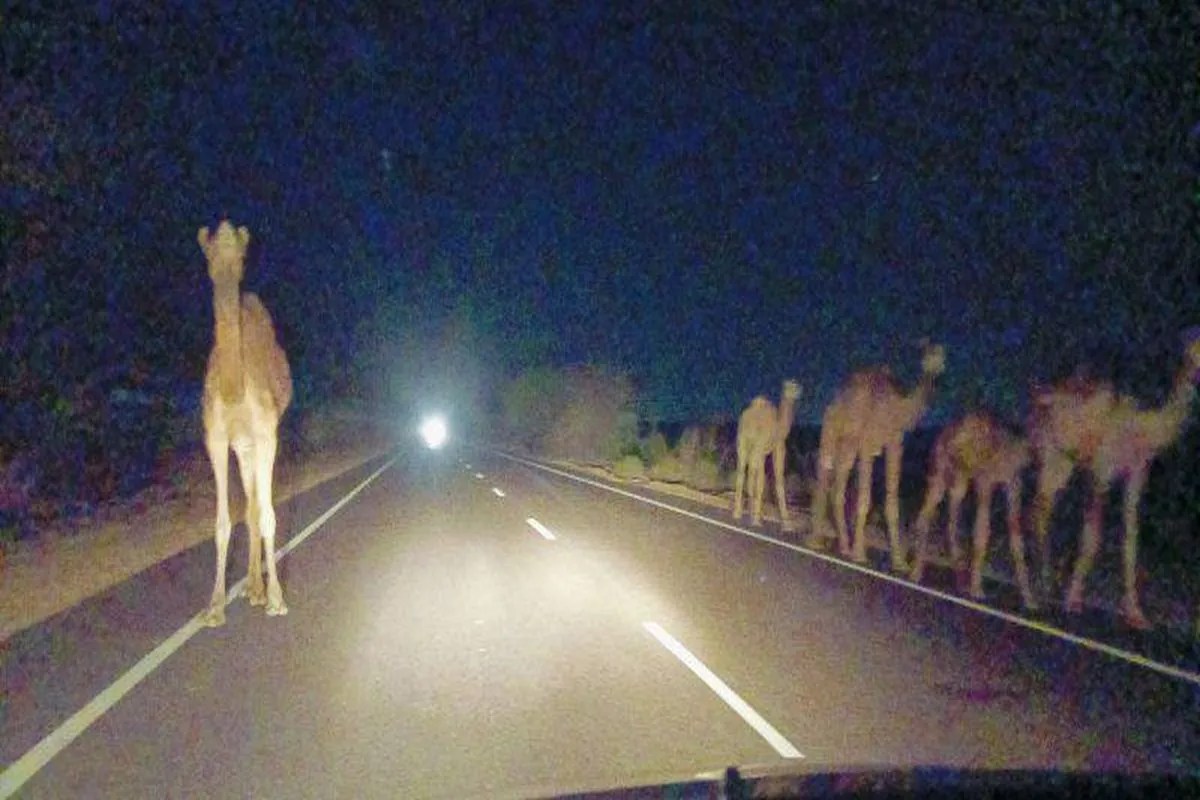 jaisalmer accident