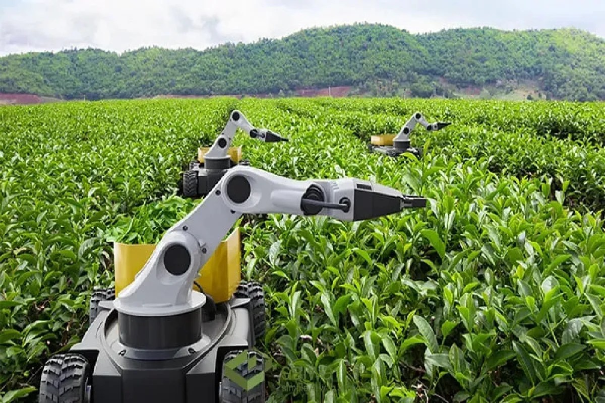 farming