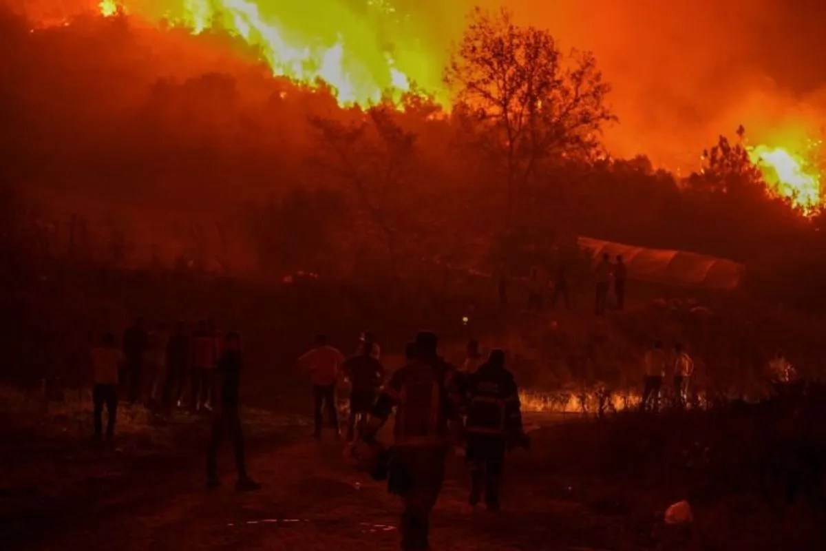 Algeria wildfire casualties.