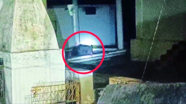 इलाके में भालू को घूमते हुए देखते हुए डीएफओ अभिषेक अग्रवाल स्वयं ग्राउंड जीरो पर पहुंचे और स्थानीय लोगों को सतर्क रहने और सुरक्षा निर्देशों का पालन करने की अपील की।