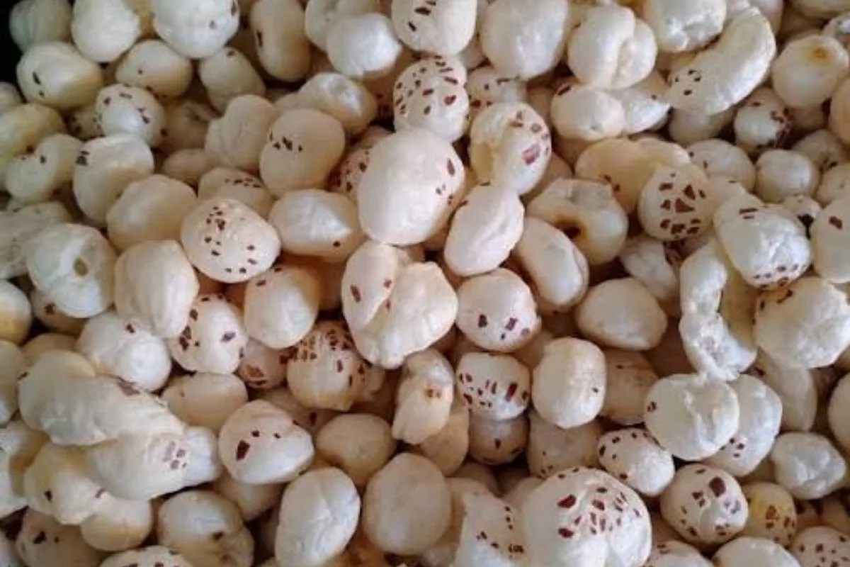 Bihar Makhana Farming Expansion