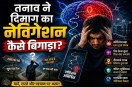 Brain Cortisol Navigation