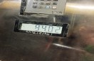 CNG Price