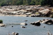 Cauvery Water Dispute, DMK Supreme Court, Karnataka Cauvery Water, Tamil Nadu Water Crisis, CWMA, CWRC,