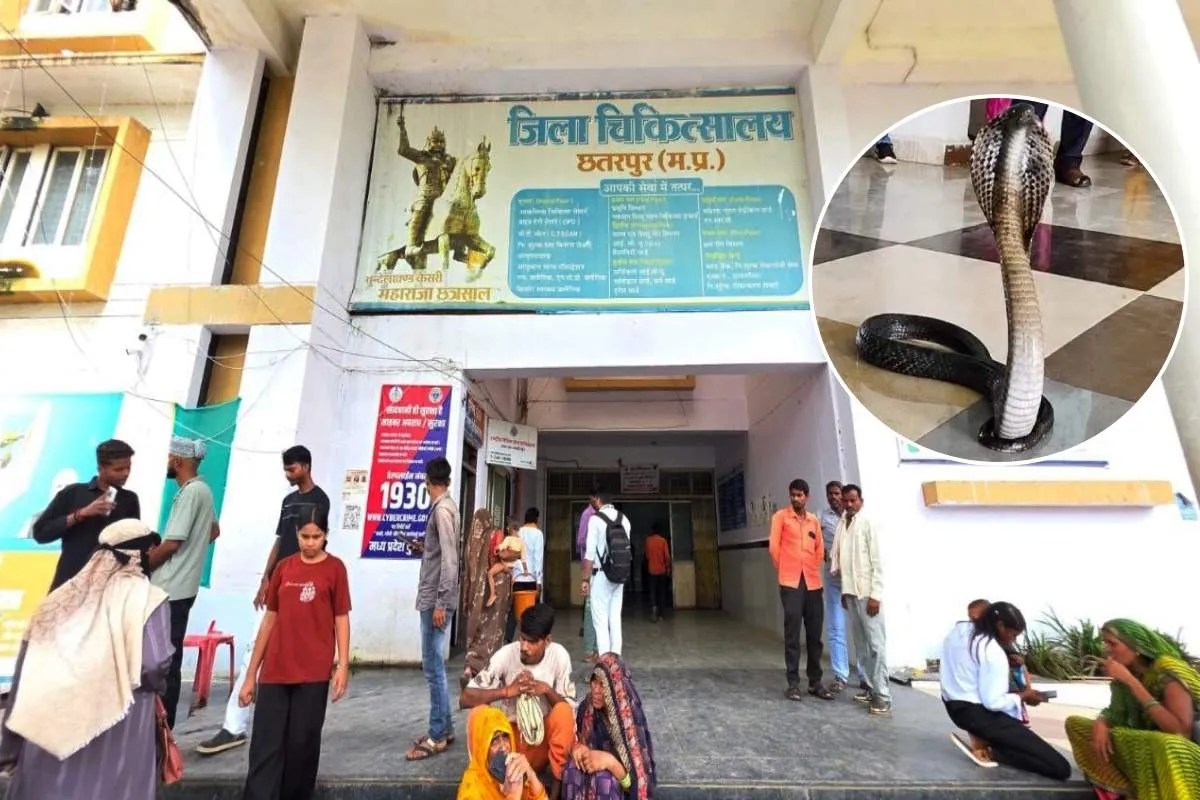 Chhatarpur Snake Bite Deaths