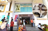 Chhatarpur Snake Bite Deaths