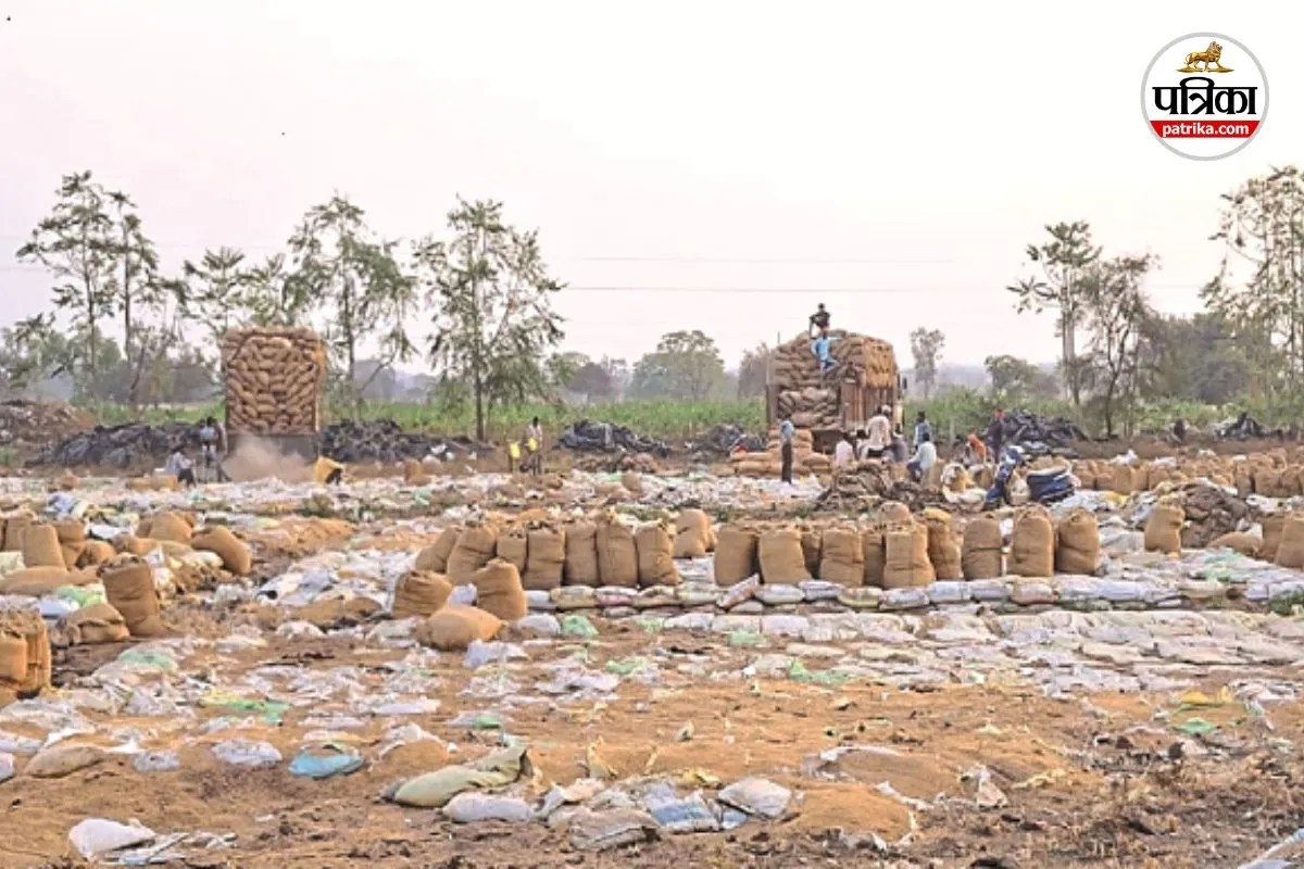 Paddy Storage Scam