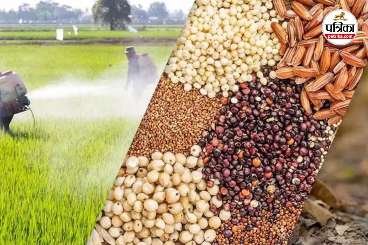 Seed Black Marketing
