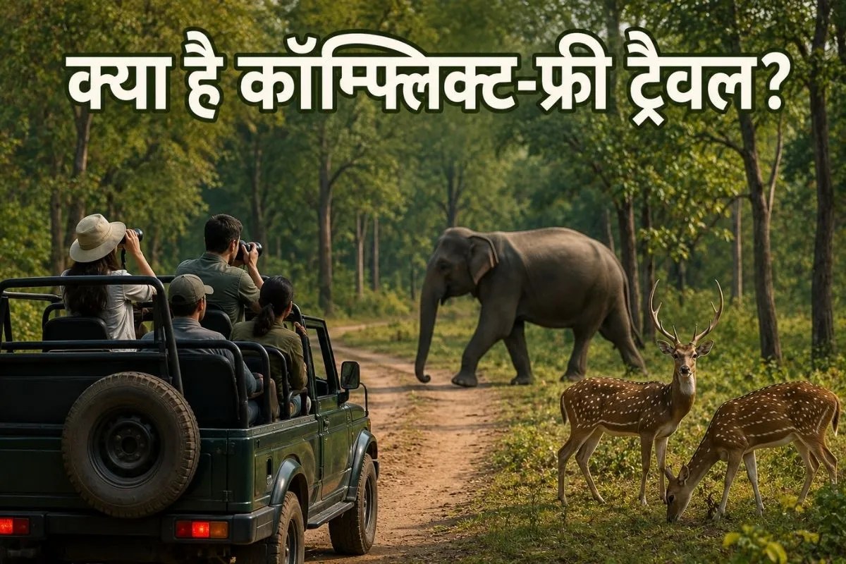 Conflict free travel in jungle