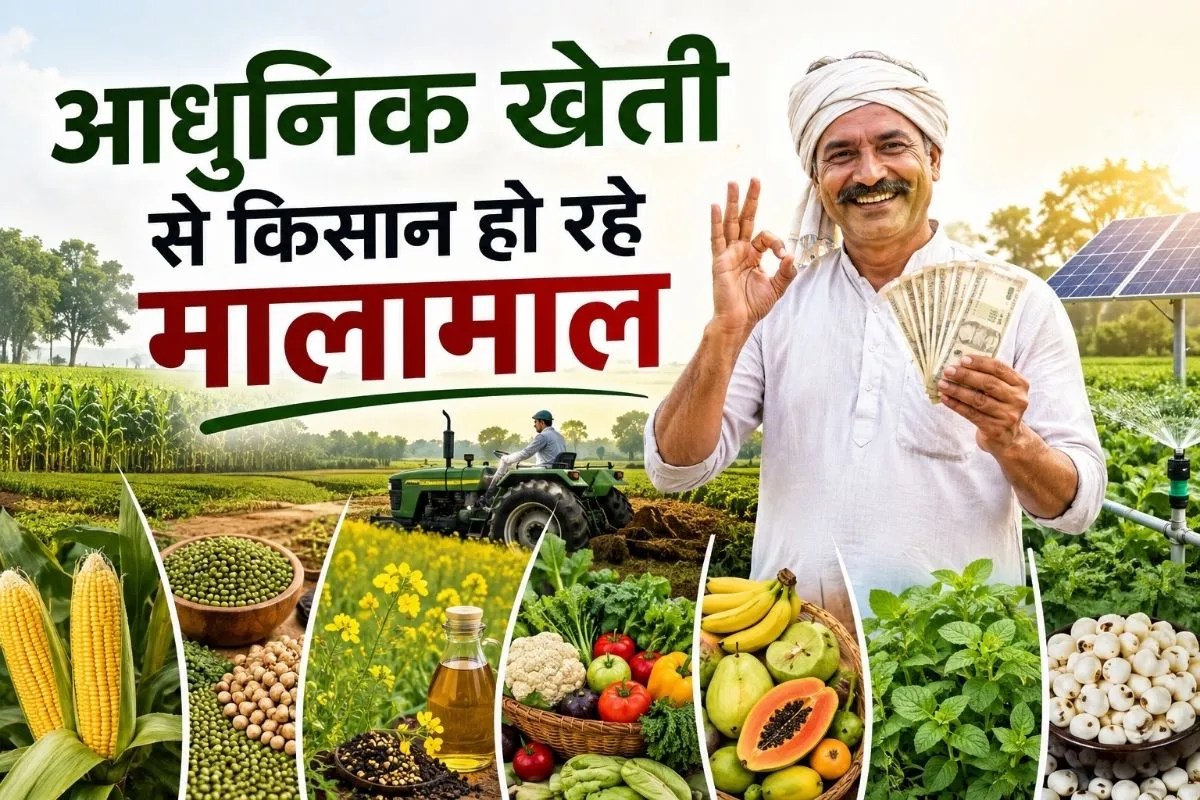 UP Bihar Crop Diversification