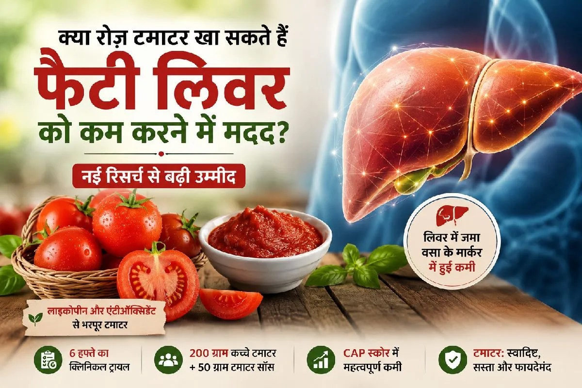 Daily tomatoes fatty Liver connection