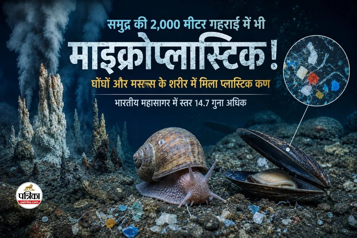 Deep Sea Microplastics