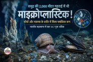 Deep Sea Microplastics