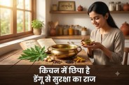 Dengue Prevention Tips from Kitchen