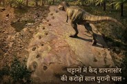 Dinosaur Tracksite News