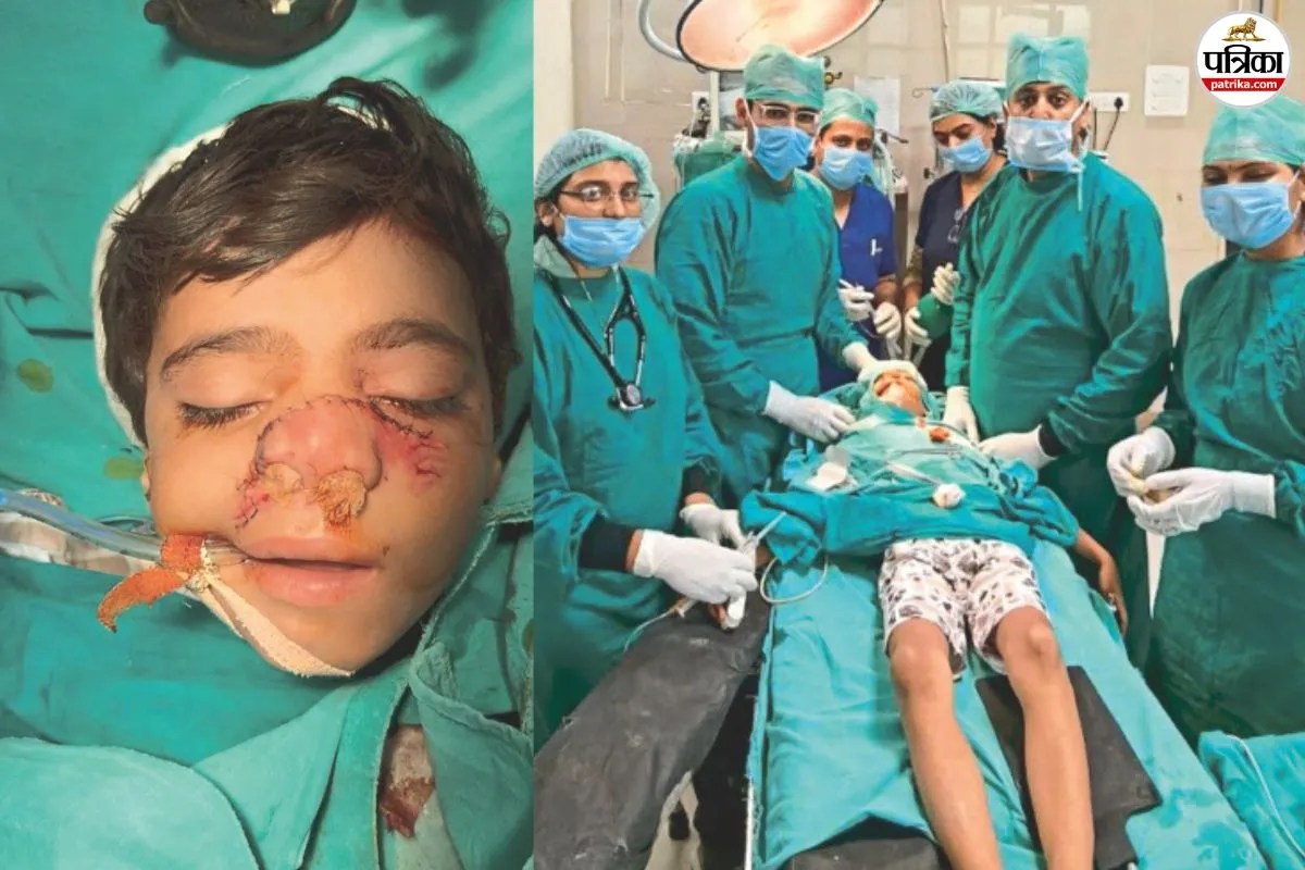 Dog Attack Case