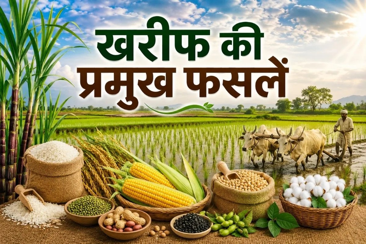 Kharif Crops India