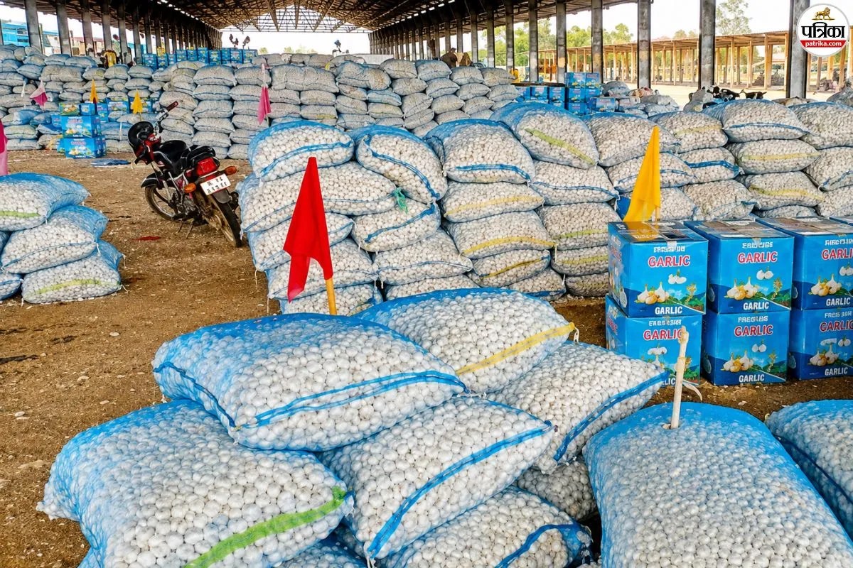 Garlic Excellence Centre Baran