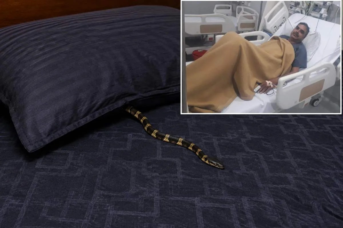Gwalior Constable Snake Bite