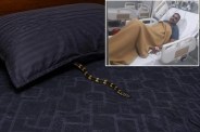 Gwalior Constable Snake Bite