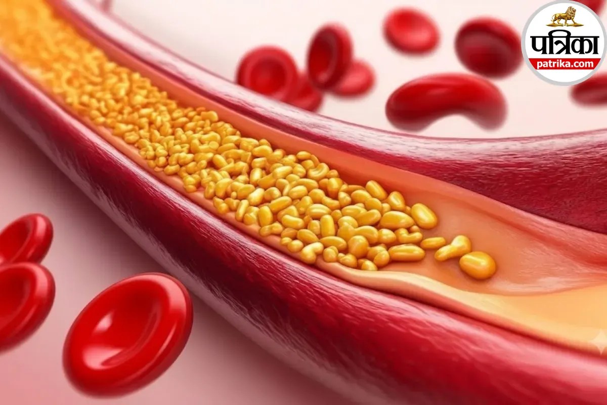 hdl cholesterol normal range,hdl level for male and female,good cholesterol level chart,