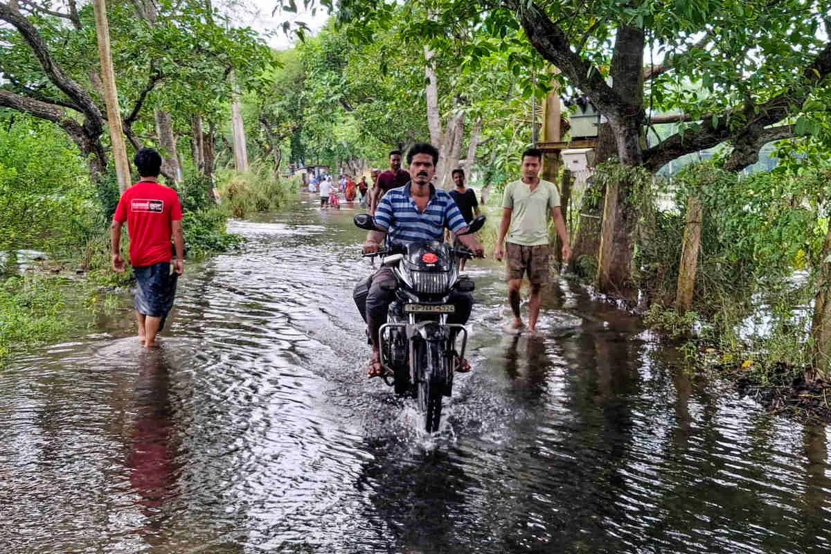 Heavy Rain Alert