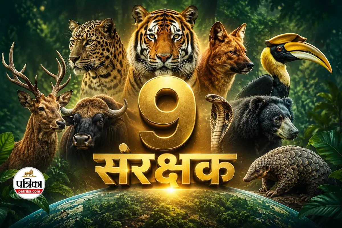 India 9 anchor species