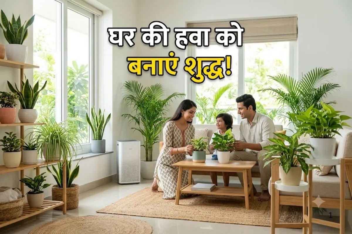 Indoor Air Quality