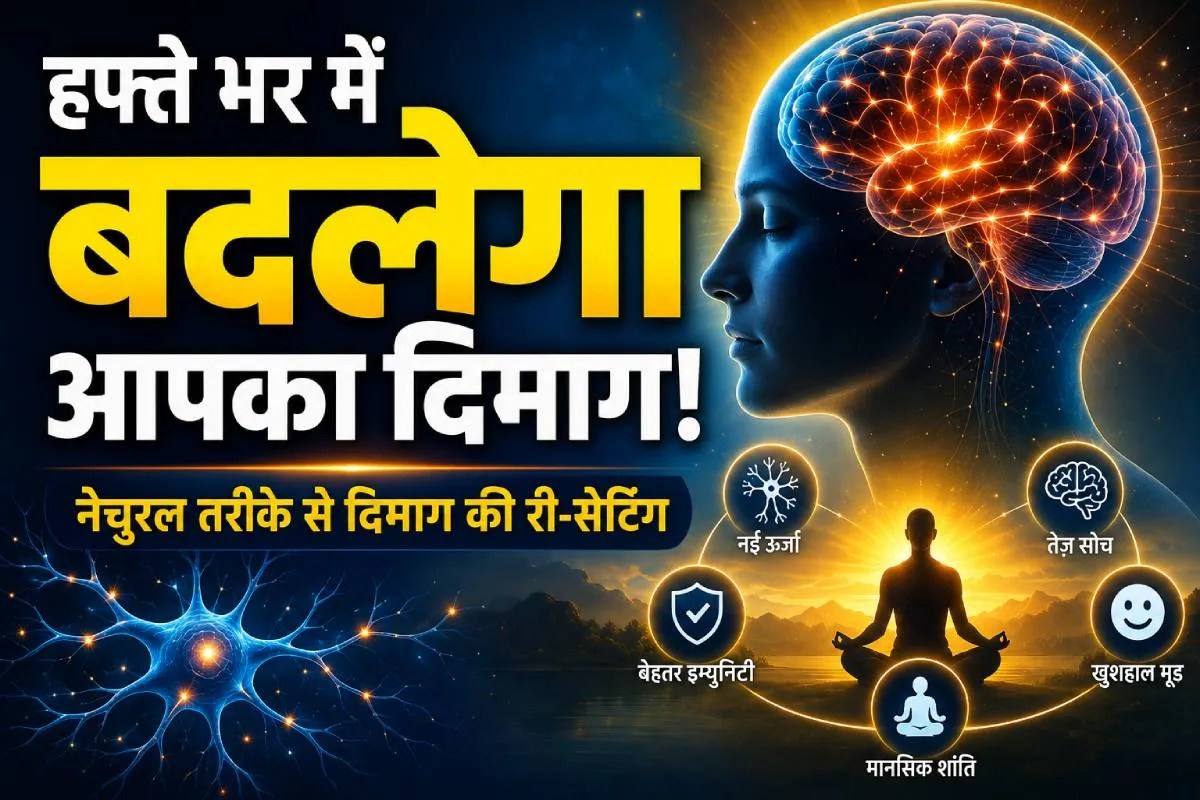 Brain Meditation Study News