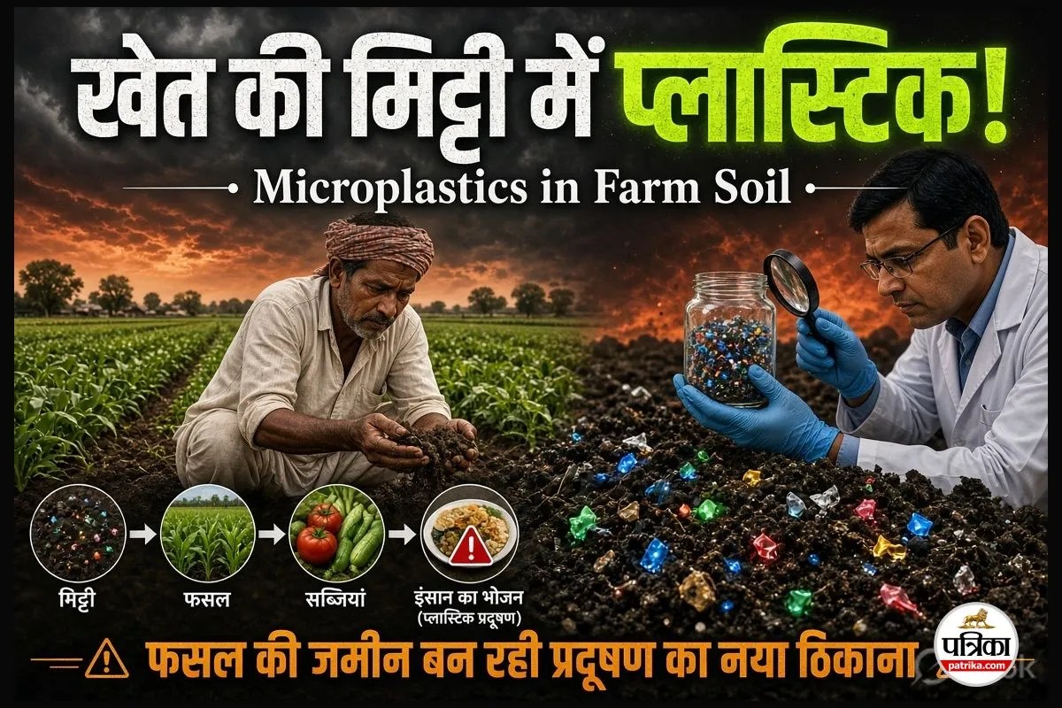 Microplastics in farm soil
