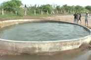 Morbi mysterious well