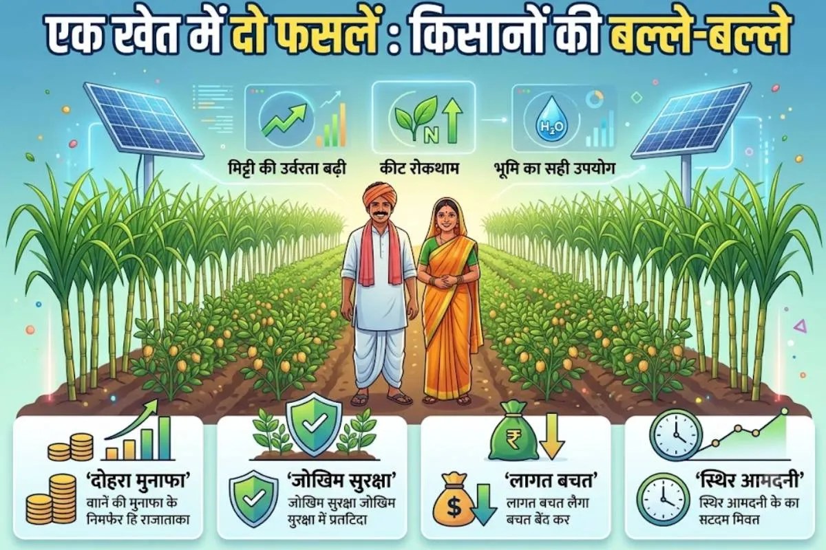 Sustainable Farming