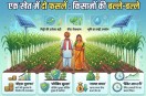 Sustainable Farming