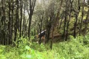 Nainital Mukteshwar Accident